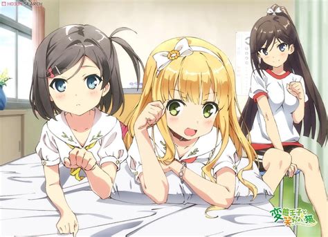 The Hentai Prince And The Stony Cat Mofumofu Lap Blanket Three Anime Toy Item Picture1