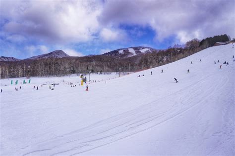 栃木県全国旅行支援「いちご一会とちぎ旅」割引条件・利用方法は？yujiのフライトログ