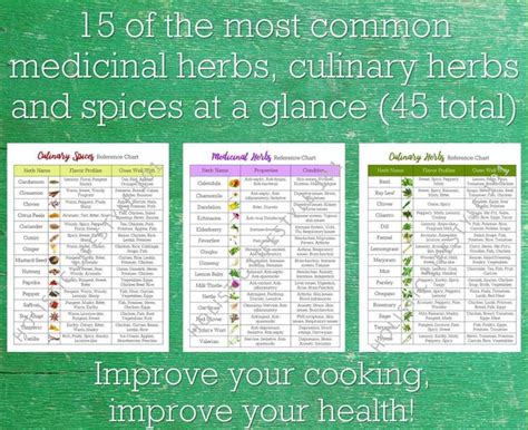 Herbs And Spices Reference Chart Bundle Spices And Herbs Cooking