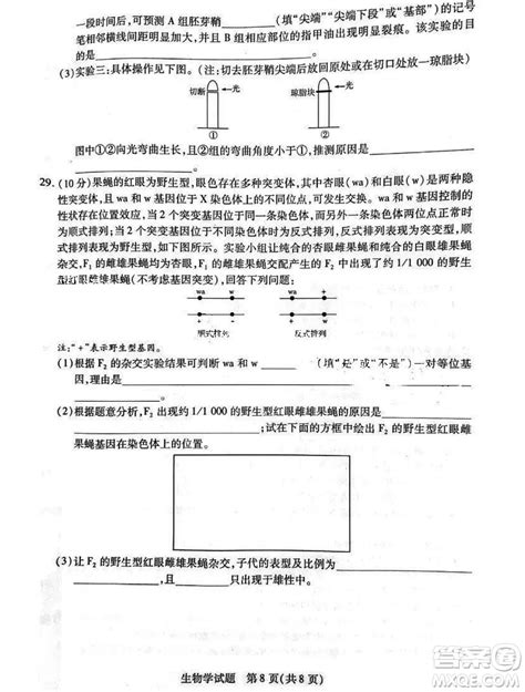 河南省天一大联考2023 2024学年高三上学期11月阶段性测试三生物试题答案 答案圈