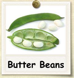 How To Grow Butter Beans Guide To Growing Butter Beans Butter Beans