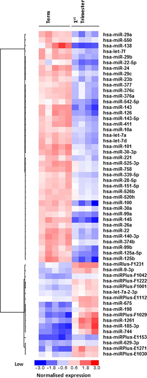 Differential Expression Of Mirs Between First Trimester And Term Human Download Scientific