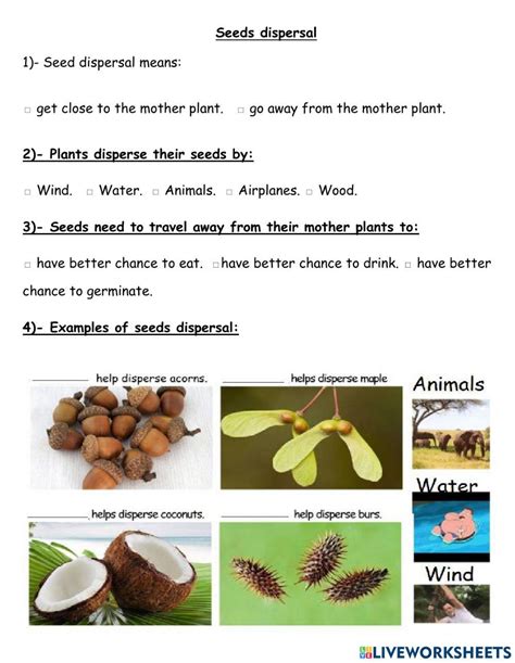 Seeds Dispersal Interactive Worksheet Live Worksheets Worksheets