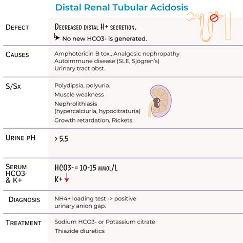 Renal System Glossary: Renal Tubular Acidosis | ditki medical ...