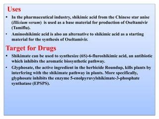 Shikimic acid pathway | PPT