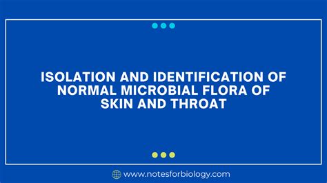 Normal Microbial Flora Of Skin And Throat