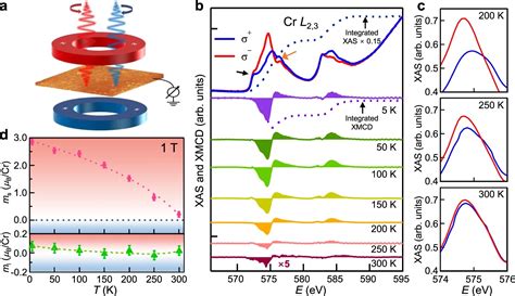 Room Temperature Intrinsic Ferromagnetism In Epitaxial Crte Ultrathin