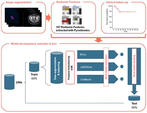 Cancers Free Full Text A Radiomic Based Machine Learning Model Predicts Endometrial Cancer