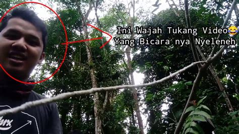 Mikat Burung Di Hutan Sumatera Utara Lokasinya Mantap Youtube