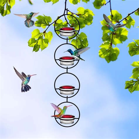 Beautiful Circular Hanging Hummingbird Feeder Hummble Slim Hummingbird