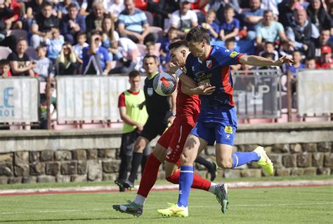 Video Pas Prekinuo Polufinale Kupa Srbije Protr Ao Preko Terena I