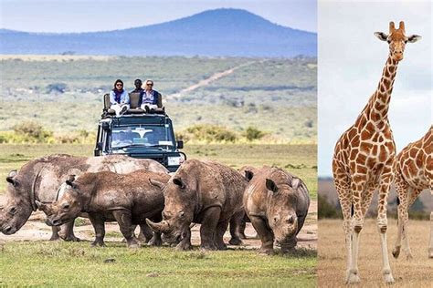 4 Days Safari Tour In Masai Mara By 4x4 Jeep