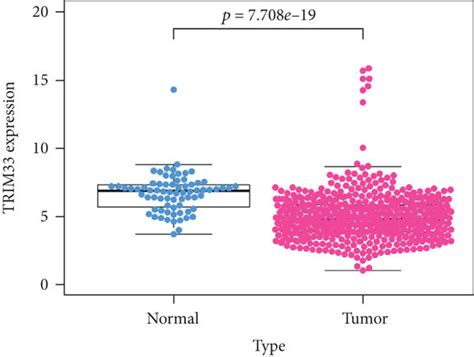 expression  trim  kidney cancer tissues  normal tissues