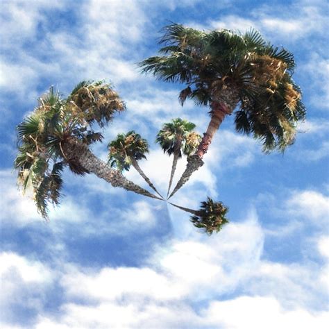 Premium Photo Low Angle View Of Palm Trees Against Cloudy Sky