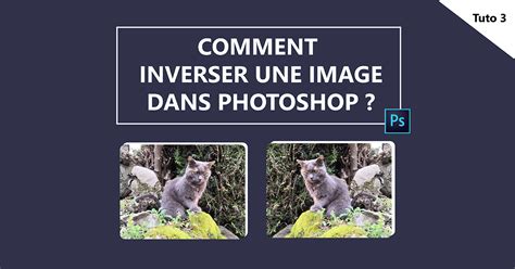 Comment Inverser Une Image Dans Photoshop Tuto Rapide