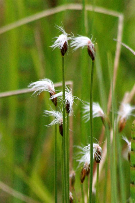 Naturschutzgebiet Eggst Tt Hemhofer Seenplatte