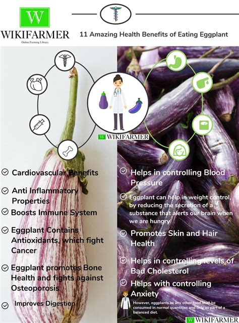 11 Amazing Health Benefits Of Eating Eggplant Wikifarmer