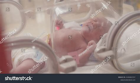 Newborn Incubators Images Stock Photos Vectors Shutterstock