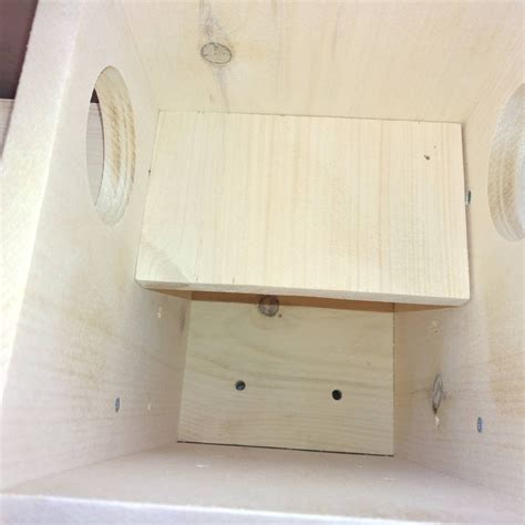 Squirrel Condo Nesting Box Two Entrancdes Wildlife Rehab Etsy