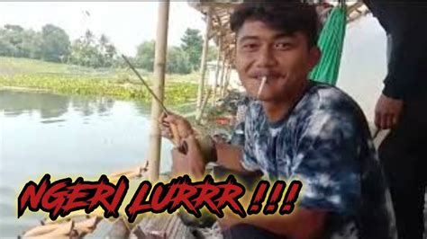 Ngeri Lurrr Tarikan Babon Di Lapak Ini Bikin Keteteran