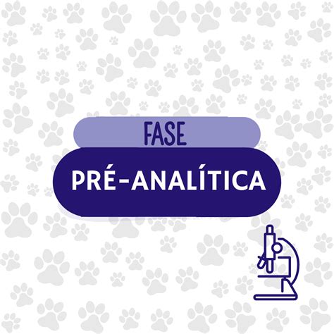 Fase Pré Analítica Animal Lab