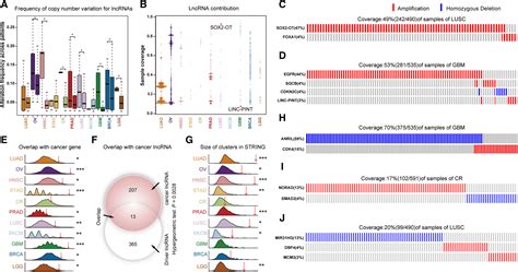 A Pancancer Atlas Of Cancer Hallmarkassociated Candidate Driver