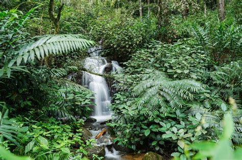 A Beautiful Waterfall In A Tropical Rainforest Stock Image Image Of