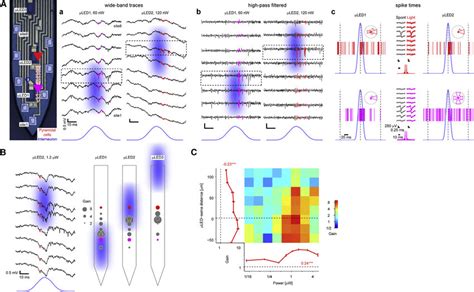 Mled Illumination Induces Local Spiking A Focal Control Of Pyramidal