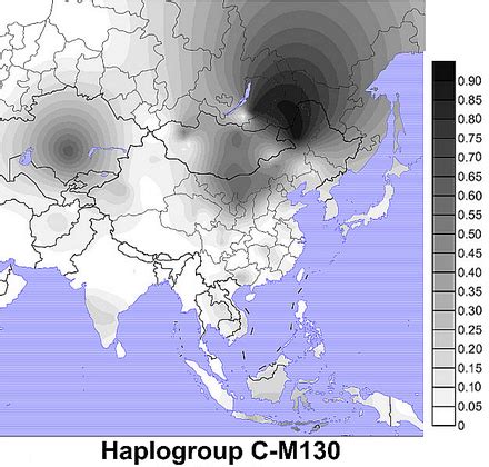 Projected spatial frequency distribution for haplogroup C in East Asia.[2]