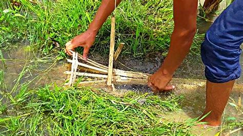 Creative Boy Make Fish Trap Using Bamboo Box Traditional Fish Trapping