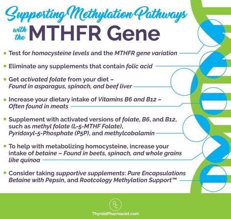 What Mthfr Is And Why You Should Get Tested Thyroid Health