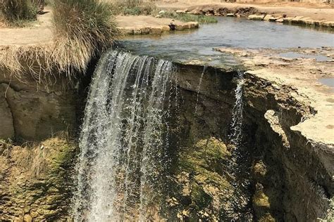 Day Tour To Valley Of Whales And Wadi El Rayan Water Falls