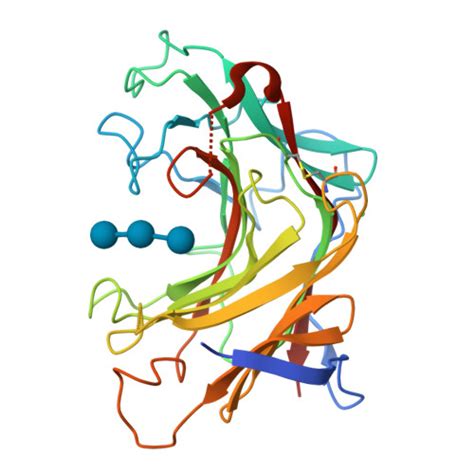 RCSB PDB 6XQG Crystal Structure Of SCLam E144S Mutant A Non