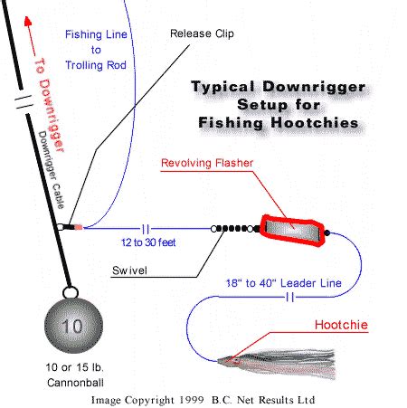 Setting Up A Downrigger For Fishing July 2024