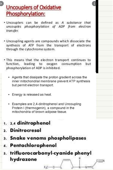 Uncouplers Of Oxidative Phosphorylation In 2022 Oxidative Phosphorylation Mitochondria Brown