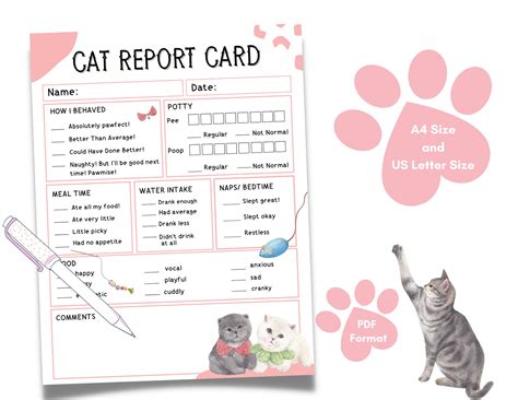 Cat Report Card Pet Report Card Ready To Print Pet Sitter Etsy