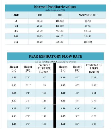 Peak Flow Meter Chart.pdf