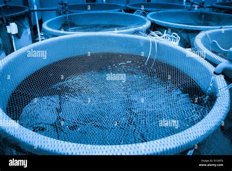 Agriculture Aquaculture Water System Farm Stock Photo Alamy