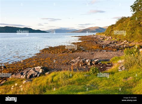 Newton Bay On Loch Fyne A Sea Loch In Scotland Stock Photo Alamy