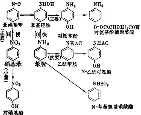 芳香族氨基和硝基化合物 毒理学 医学