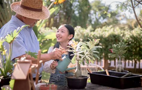 5 Cara Berkebun Di Halaman Rumah Yang Sempit Mudah Seru