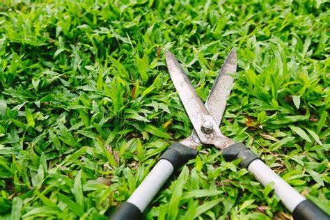 Scissors To Cut The Grass Stock Image Image Of Brightly 31886835