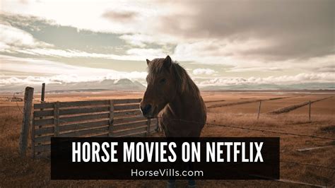 Must Watch Horse Movies On Netflix Youtube