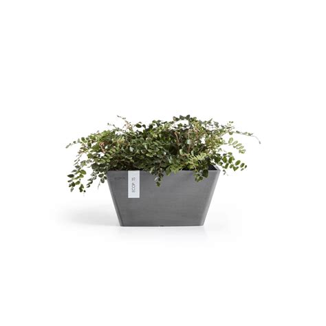 Ecopots Pflanzschale Berlin Quadratisch Grau Cm X Cm Kaufen Bei Obi