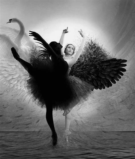 Black Swan Ballet Swan Lake Ballet Ballet Art