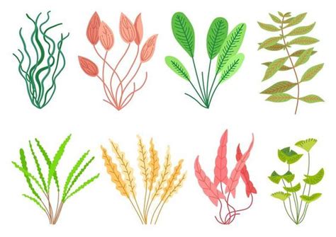 Plant Vector Art, Icons, and Graphics for Free Download