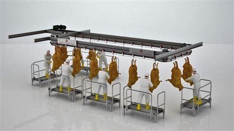 Automatic Sheep Processing Conveyor Slaughterhouse Technologies