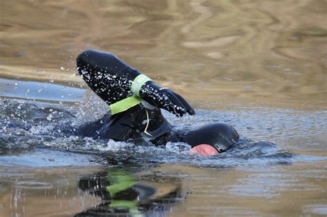 Taucher Schwimmer Schwimmen Kostenloses Foto Auf Pixabay Pixabay