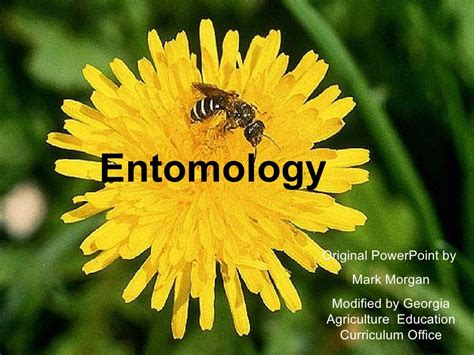 Entomology