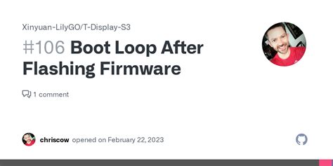 Boot Loop After Flashing Firmware Issue Xinyuan Lilygo T